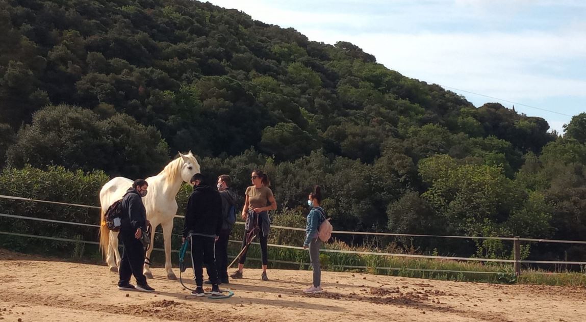 NOTÍCIA TERÀPIA EQUINA-CFP MARESMEequino-1