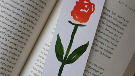 rosa i llibre