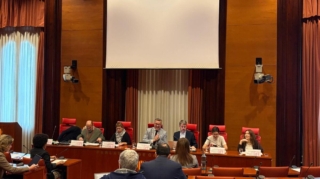 PARLAMENT COMISSIÓ DGAIA DESEMBRE 25